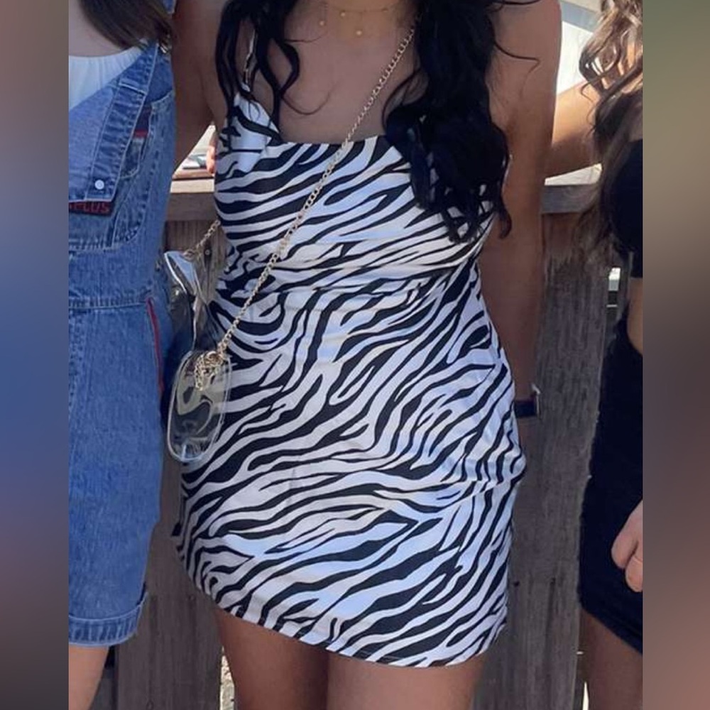 Princess polly zebra dress US size 4